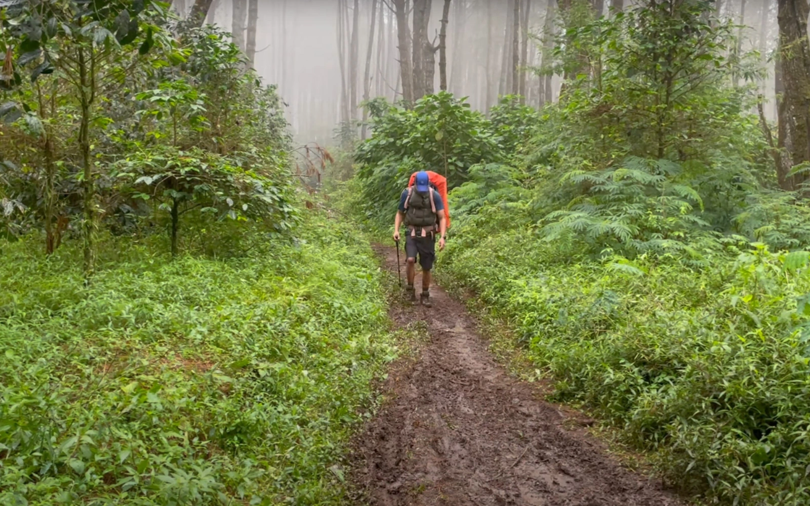 Essential Gear for Rainy Forest Campers - Camouflage Rain Suit