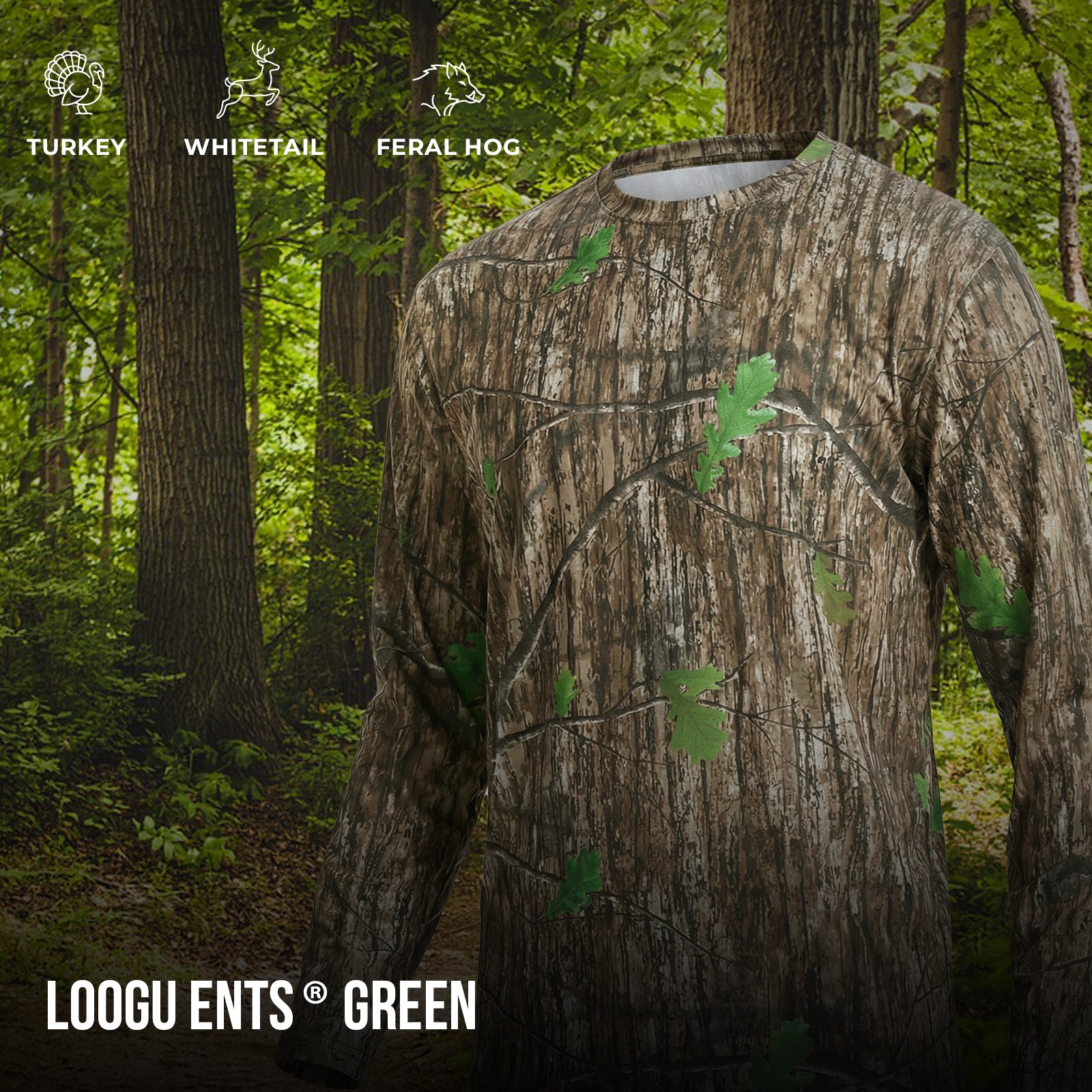 ENTS GREEN — ENTS GREEN IN THE FIELD